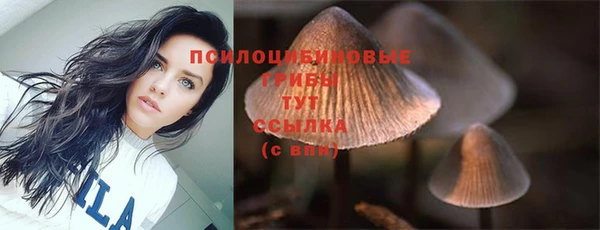 бошки Алексеевка