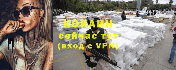 бошки Алексин