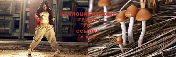 бошки Алексин