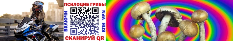 Купить где  Абакан  Псилоцибиновые грибы MAGIC MUSHROOMS 